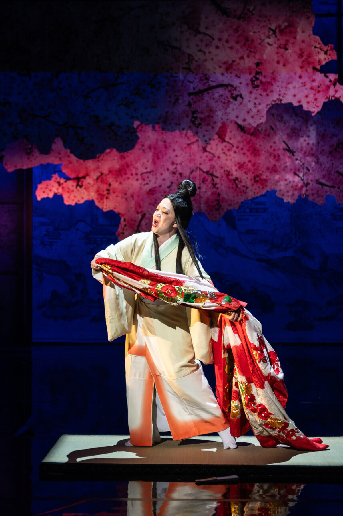 Scènefoto van Madame Butterfly